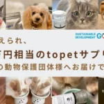 2月22日は猫の日！動物保護団体へ222万円相当のtopetサプリメントを寄付