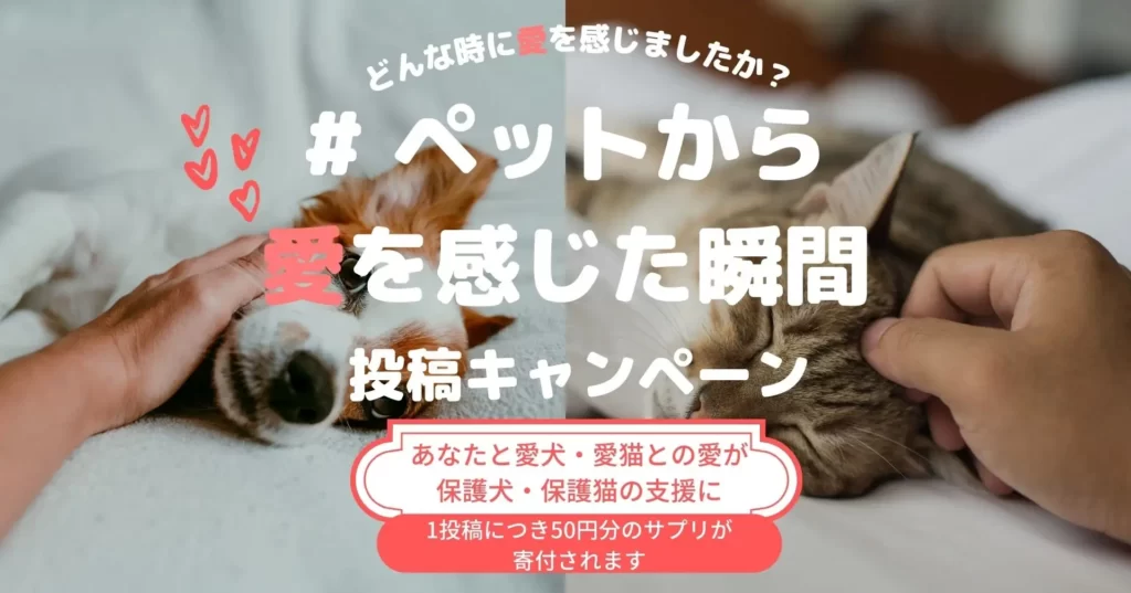 【1投稿50円】猫の日に愛猫・愛犬の愛を叫ぶ「topet」がSNSチャリティーキャンペーンを実施