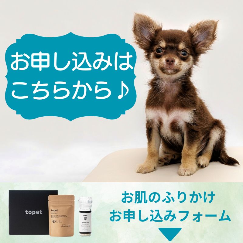 犬用皮膚・被毛ケアふりかけ「お肌のふりかけ」