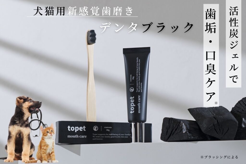 犬の口臭ケアに革命！活性炭を使った黒ジェル「デンタブラック」新登場